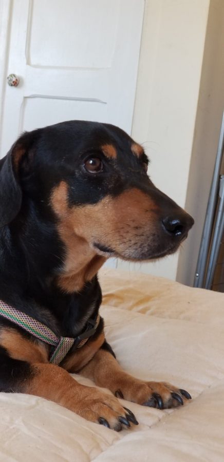 67080006_344825966444351_5285812012054478848_n